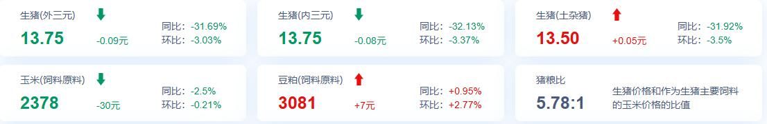 政策收储释放暖意！猪肉板块强势冲高，“猪茅”市值重返3000亿